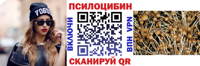 Псилоцибиновые грибы MAGIC MUSHROOMS  OMG ссылки  Добрянка  где продают  