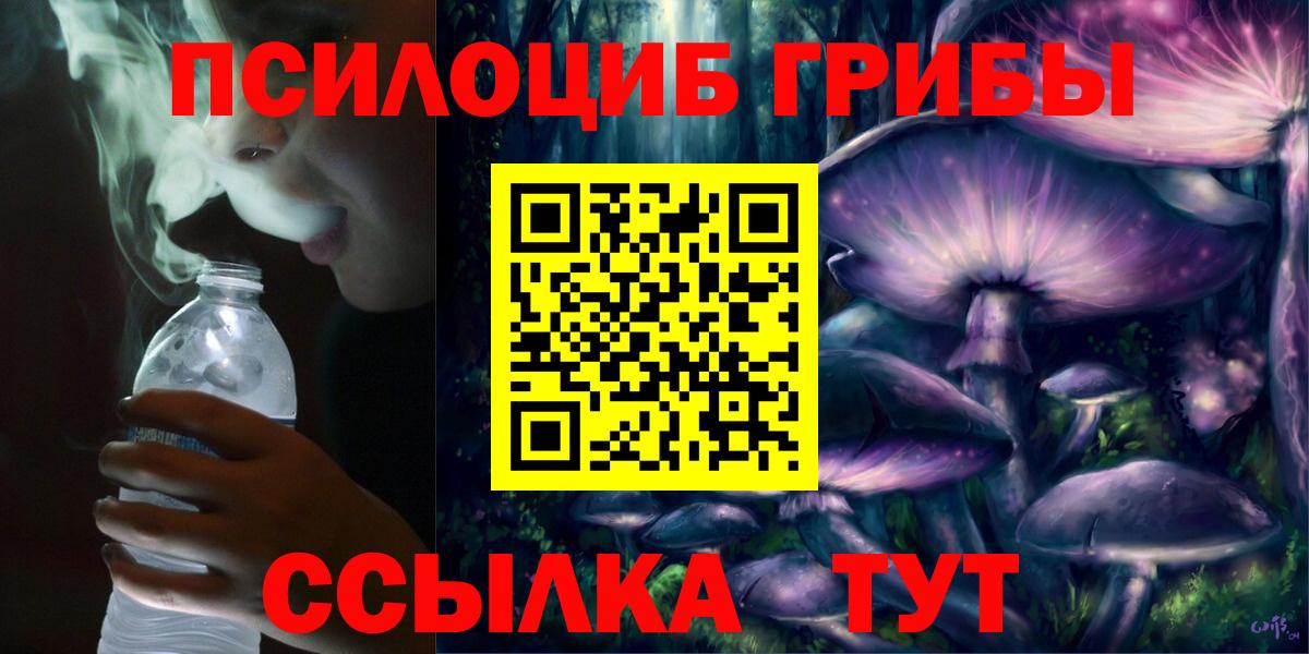 Галлюциногенные грибы Cubensis Добрянка