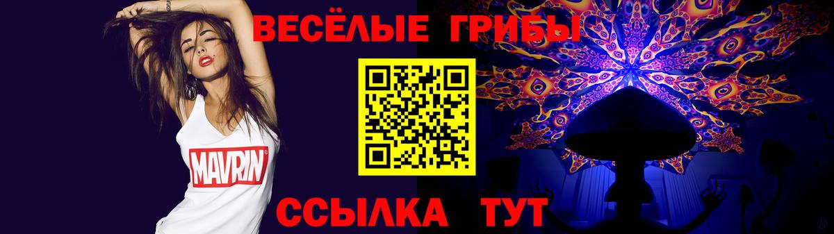 Добрянка  цена наркотик  Вход с VPN  Псилоцибиновые грибы Psilocybe 