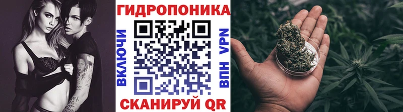 дарнет шоп  Добрянка  Бошки марихуана тримм 